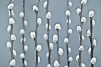 Protected Fine Art Print