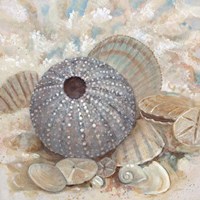 Beach Prize III Fine Art Print