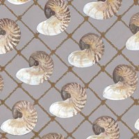 Nautilus Net Fine Art Print