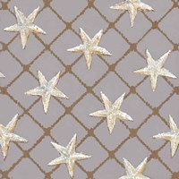 Net Full of Stars Fine Art Print