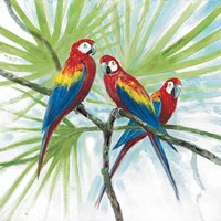 Parrots Fine Art Print