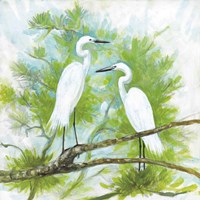 Herons Fine Art Print