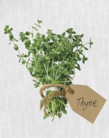 Thyme Fine Art Print
