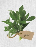 Mint Fine Art Print