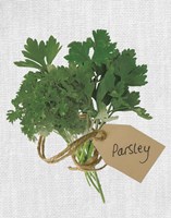 Parsley Fine Art Print