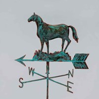 Rural Relic Horse Fine Art Print