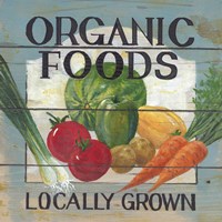 Organic Foods Fine Art Print