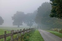 Country Ride Fine Art Print