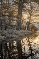 Frosty Morning I Fine Art Print