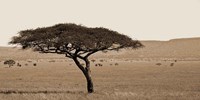 Serengeti Horizons I Fine Art Print