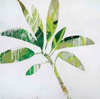 Tropical Landscape IV Fine Art Print