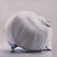 Moon Snail Fine Art Print
