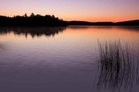 Breaking Dawn Fine Art Print