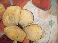 Full Blossom II Fine Art Print