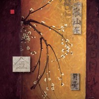 Oriental Blossoms II Fine Art Print