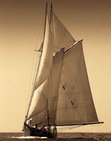 Under Sail I Fine Art Print