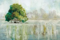 Gentle Reflections Fine Art Print