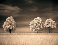 Together and Alone II Fine Art Print