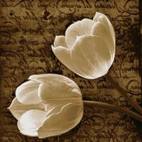 With Love I Fine Art Print