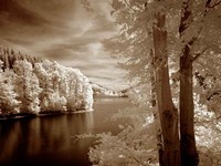 A View To Remember Fine Art Print