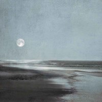 Moonlit Beach Fine Art Print