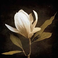 Grandeur Fine Art Print