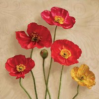 Graceful Spring I Fine Art Print