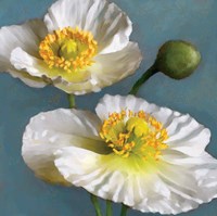 Poppy Parfait I Fine Art Print