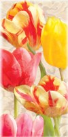 Glowing Tulips I Fine Art Print