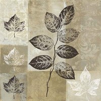 Essence of Nature I Fine Art Print