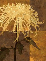 Golden Mums I Fine Art Print