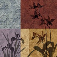 Floral Refrain II Fine Art Print