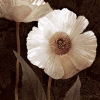 Paisley Poppy II Fine Art Print