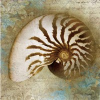 Nautical Beauty Fine Art Print