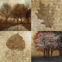 Arcadian Grove II Fine Art Print