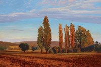 Chiana Fine Art Print