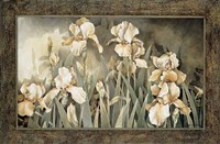 Field of Irises Fine Art Print