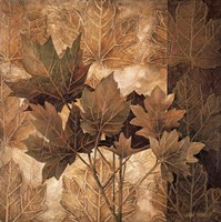 Leaf Patterns II Fine Art Print