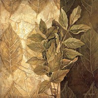 Leaf Patterns IV Fine Art Print