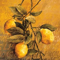 Lemon Branch Fine Art Print