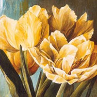 Floral Radiance II Fine Art Print