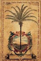 Sunset Palm Fine Art Print