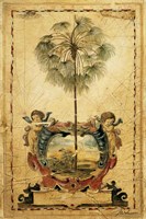 Paradise Palm Framed Print