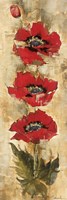 Strand of Poppies I Fine Art Print