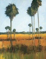 Tall Palms I Fine Art Print