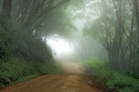 Road to Nowhere Fine Art Print