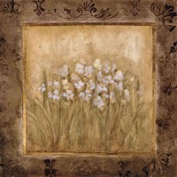 Narcissus Fine Art Print