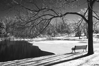 Heritage Pond In Winter Fine Art Print