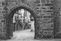 Bicycle of Riquewihr Fine Art Print