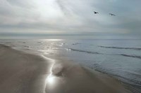 Beach Flight Fine Art Print